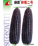 大田用种黑糯玉米种子 黑粘玉米种子 40g/袋