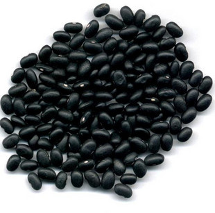 芽苗菜种子 小粒黑豆种子18元1斤 种植黑豆苗专用