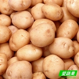 绿色食品新鲜蔬菜 土豆 洋芋 马铃薯 辽宁配送 500g