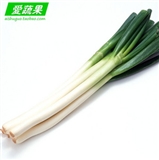 绿色食品新鲜蔬菜 大葱 辽宁地区配送1kg