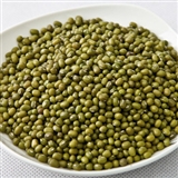 绿豆 东北粗粮 杂粮 有机绿豆 优质绿豆 500g